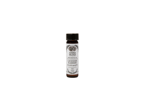 Lavender Kashmir Essential Oil