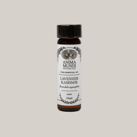 Lavender Kashmir Essential Oil